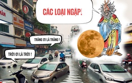 Long Vương đúc kết các loại ngập