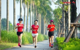 Viettel Marathon Hà Nội 2024: Xuất phát và về đích tại sân vận động Mỹ Đình