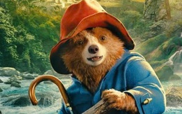 Gấu Paddington sẽ hạ cánh rạp Việt dịp Tết, là biểu tượng văn hóa tỉ đô của nước Anh