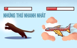 Những thứ nhanh nhất trái đất có thể khiến bạn sốc