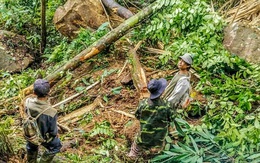 Hàng chục tảng đá lăn xuống làng ở Quảng Nam sau động đất tại Kon Tum