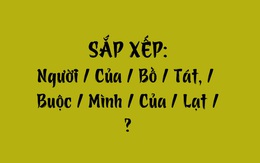 Thử tài tiếng Việt: Sắp xếp các từ sau thành câu có nghĩa (P163)