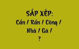 Thử tài tiếng Việt: Sắp xếp các từ sau thành câu có nghĩa (P164)