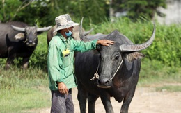 Ba đời làm nông dân giữa thành phố