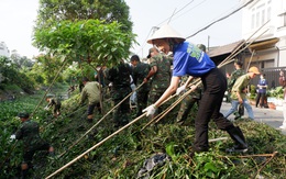 Hoa hậu Liên lục địa Lê Nguyễn Bảo Ngọc dọn rác Chủ nhật xanh