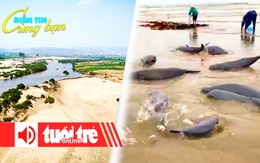 Điểm tin 18h: Tây Nguyên lo khô hạn nặng; Ngư dân bắt được đàn cá hiếm