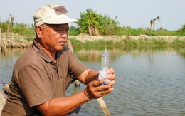 Miền Tây: Sống khỏe nhờ thích ứng hạn, mặn