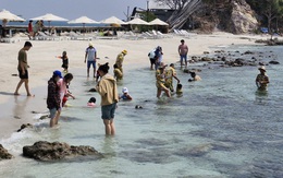 Thiếu đường bay, khó tăng khách du lịch đến Đồng bằng sông Cửu Long