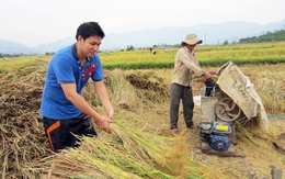 Cơm nhà ăn không bao giờ chán