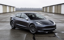 Nhiều hãng hối hận vì không làm xe điện giá rẻ sớm hơn