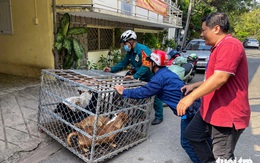 Muốn tặng ít tiền cho đội ngũ bắt chó: Được không và nơi nào nhận?