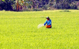 Mỹ tài trợ hơn 100 tỉ đồng để hỗ trợ nông dân Việt Nam sử dụng phân bón đúng