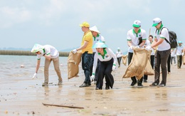 Phái đoàn châu Âu cùng gom rác trên biển Hạ Long