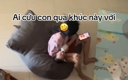 Dì mải xem điện thoại cho cháu bú bình bằng má