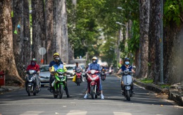 Giải cứu cây xanh