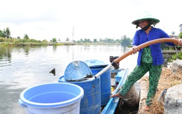 Những giọt nước giải nhiệt cho bà con Kiên Lương