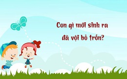 Con gì mới sinh ra đã vội bỏ trốn?