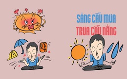 Dân đô thị: Sáng cầu mưa, trưa cầu nắng