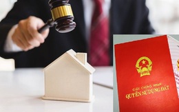 Ngân hàng đấu giá thanh lý nợ: Có lô rượu 17 tỉ, có món nợ chỉ 2 ngàn