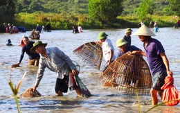 Hàng ngàn người đua nhau xuống đầm bắt cá trong tiếng reo hò