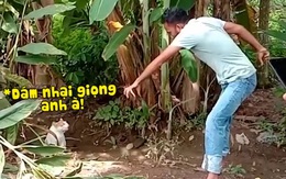 Chú mèo cay cú khi bị chàng trai lêu lêu