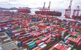 Giá cước vận chuyển hàng qua đường biển tiếp tục tăng cao