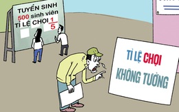 Sinh viên mới ra trường đã đụng phải tỉ lệ chọi không tưởng