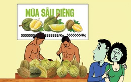 Vui buồn mùa sầu riêng