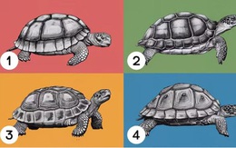 Quiz: Khám phá mức độ kiên nhẫn của bạn