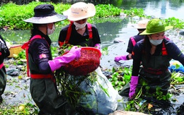 Những ông tây lượm rác ở Đà Nẵng