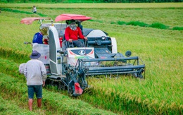 Nông dân Việt Nam xuất sắc: người doanh thu trăm tỉ, người lợi nhuận 20 tỉ