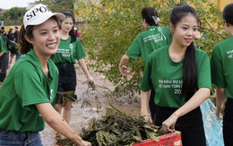 Hoa hậu Du lịch Việt Nam toàn cầu tạm hoãn, 40 thí sinh hỗ trợ khắc phục hậu quả sau bão số 3