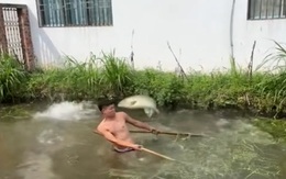 Chàng trai sưng mặt vì bị đàn cá 'đánh hội đồng'