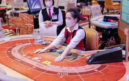 Nhiều casino ở Việt Nam kinh doanh chật vật, lỗ đậm