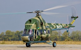 Trực thăng Mi-2 của Ukraine rơi khi huấn luyện, 2 người chết