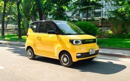 Nhà phân phối Wuling Mini EV nói gì khi kiểm toán nghi ngờ khả năng hoạt động liên tục?