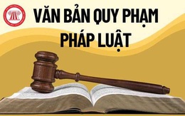 Bãi bỏ 37 văn bản quy phạm pháp luật của Thủ tướng Chính phủ