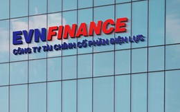 EVNFinance ‘rót’ hơn 11.369 tỉ đồng vào bất động sản