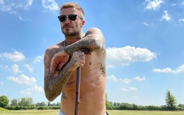 Beckham trồng rau nuôi gà như nông dân, Victoria đòi 'trả chồng lại cho tôi'