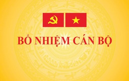 Thủ tướng bổ nhiệm ông Trịnh Mạnh Linh làm phó chủ nhiệm Văn phòng Chính phủ