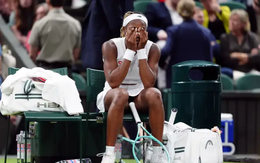 Coco Gauff sẽ đọc sách nhiều hơn nếu TikTok bị cấm