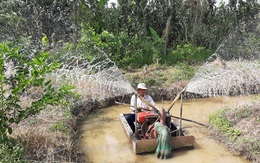 Xâm nhập mặn gia tăng ở miền Tây ngay dịp Tết