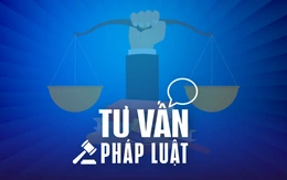 Tạm nghỉ tư vấn pháp luật trong dịp Tết Nguyên đán 2025