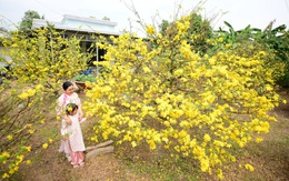 Về quê ngày Tết, nhớ bữa cơm đậm đà tình thương của nội