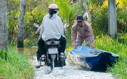 Bến Tre cảnh báo người dân kê cao đồ đạc để ứng phó triều cường