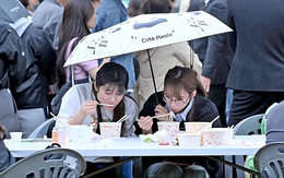 Việt Nam đâu chỉ có phở