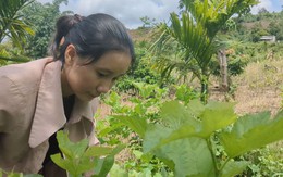 Trong căn nhà chắp vá, Tôn Nữ Minh Châu ươm mầm ước mơ đại học