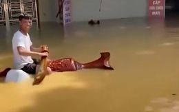 Chàng trai cưỡi lộc bình ngao du sơn thủy trên đường ngập