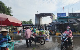 Mở lại phà Ô Môi sau nhiều tháng đóng cửa