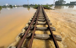 Bão số 11 (Matmo)